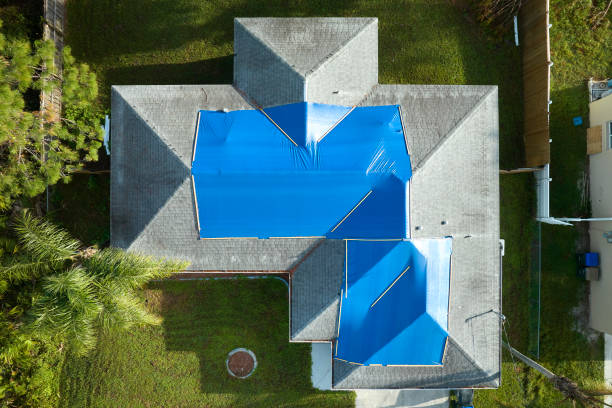 Best Roof Moss and Algae Removal  in Mcfarland, CA